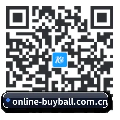 苹果版 iOS 二维码